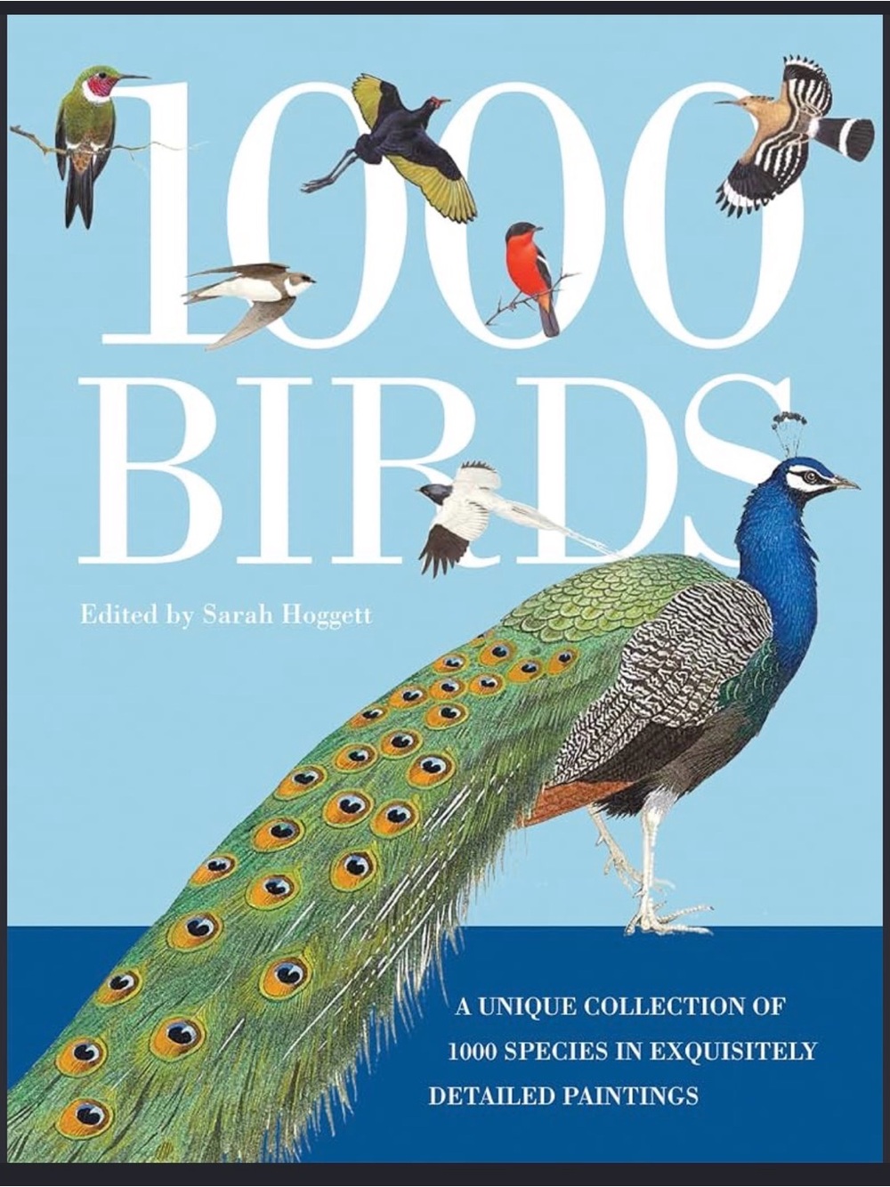 Book of 1,000 Birds: A Unique Collection of 1,000 Species in Exquisitely Detaile